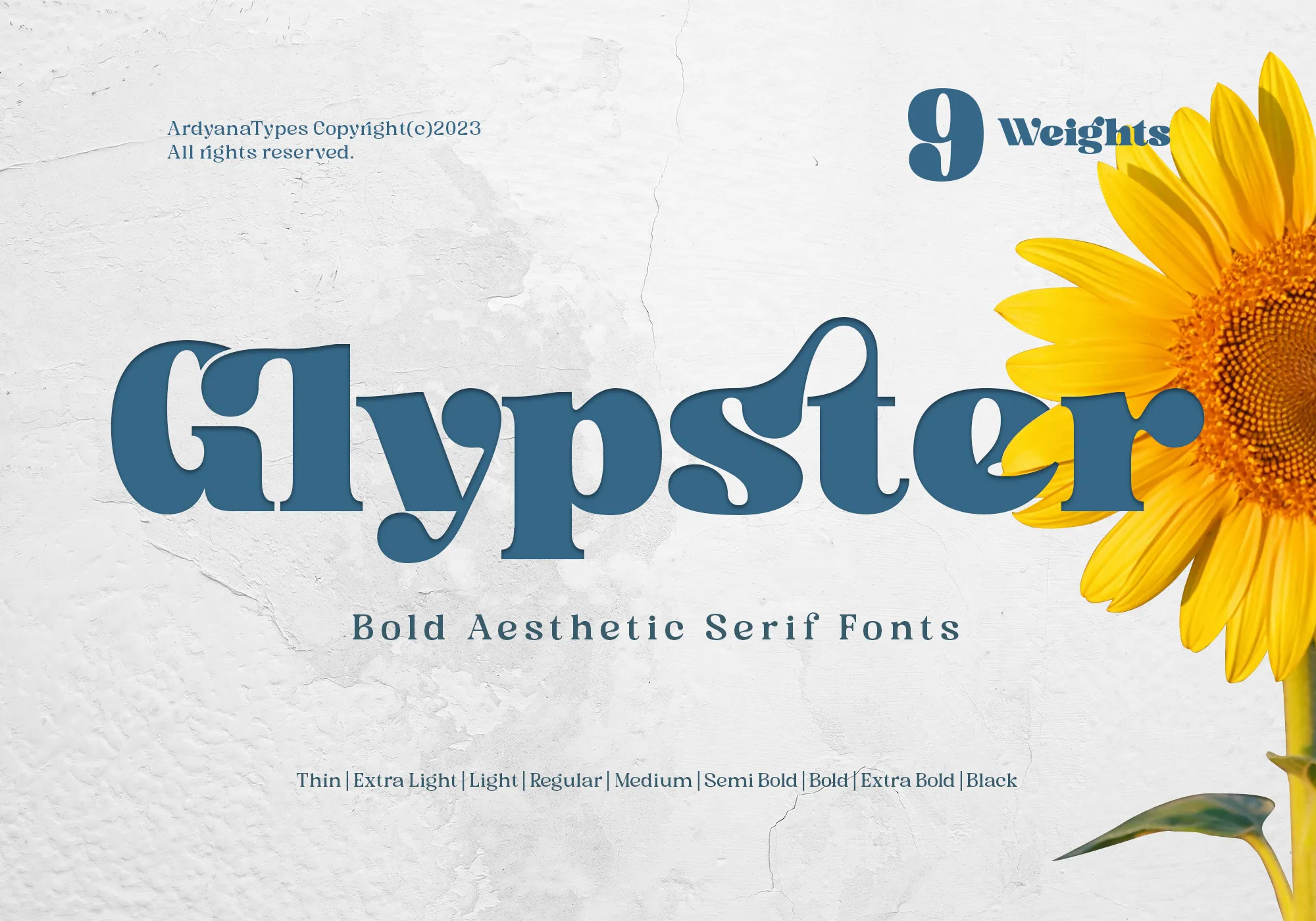 Glypster - Bold Aesthetic Serif Fonts