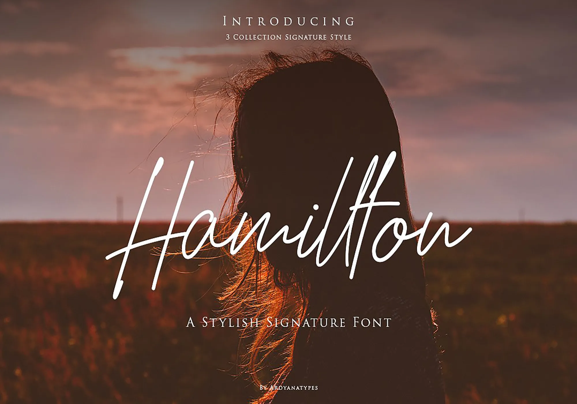 HamilltonScript
